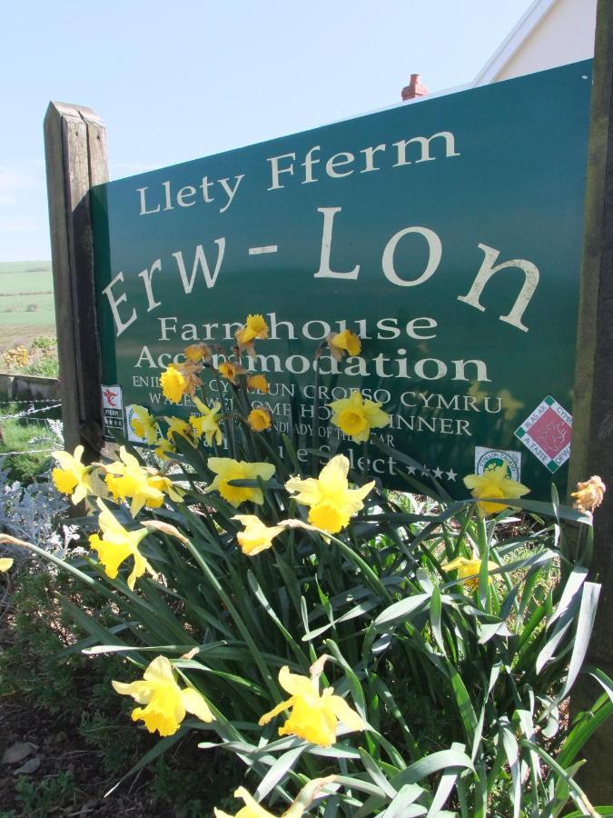 Erw-Lon Farm Bed & Breakfast Pontfaen Eksteriør bilde