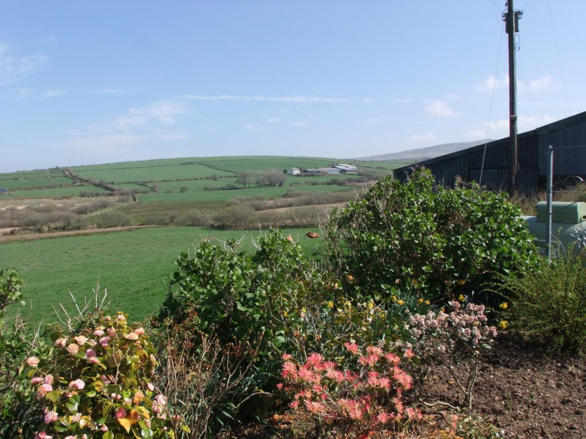 Erw-Lon Farm Bed & Breakfast Pontfaen Eksteriør bilde